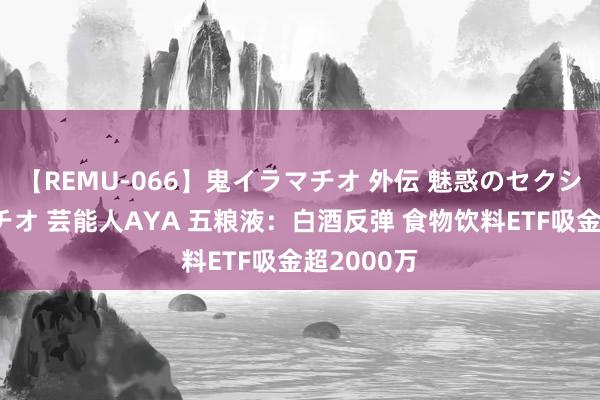 【REMU-066】鬼イラマチオ 外伝 魅惑のセクシーイラマチオ 芸能人AYA 五粮液：白酒反弹 食物饮料ETF吸金超2000万