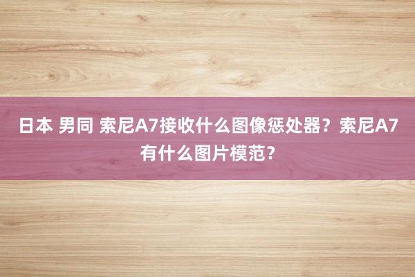 日本 男同 索尼A7接收什么图像惩处器？索尼A7有什么图片模范？